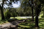 Benches and Tombstones