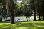 Benches in the Shade