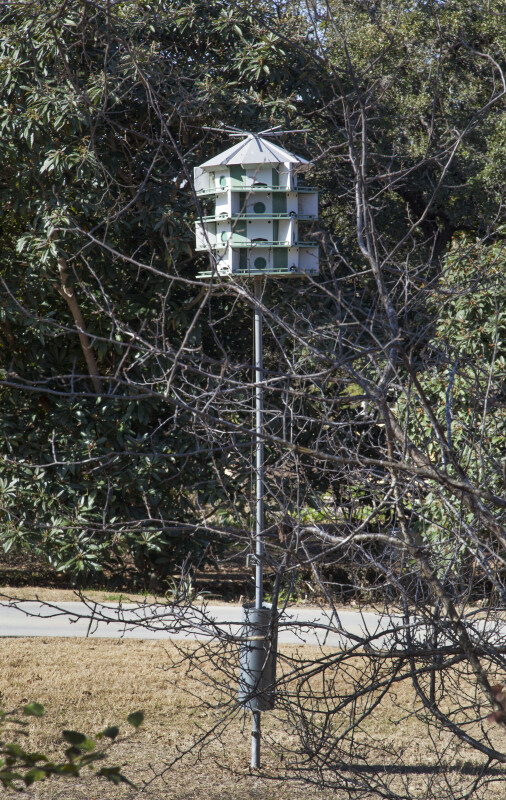Bird House Behind Bare Tree Branches