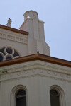 Bird on Roof