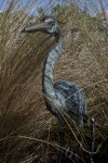 Bird Sculpture Amongst Grass