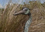 Bird Sculpture at the Big Cypress National Preserve