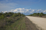 Birdon Road at the Big Cypress National Preserve