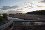 Boardwalk and Creek