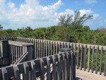 Boardwalk and Railing