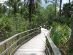 Boardwalk at Corkscrew