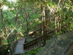 Boardwalk at Devil's Millhopper