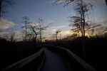 Boardwalk at Dusk