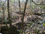 Boardwalk at Falling Waters