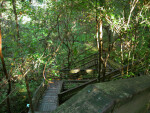 Boardwalk at Sinkhole