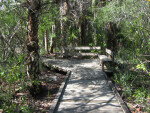 Boardwalk Bench