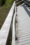 Boardwalk Railing