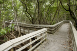 Boardwalk Split