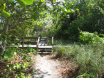 Boardwalk Steps