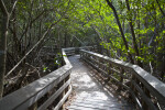 Boardwalk that Splits in Two Directions