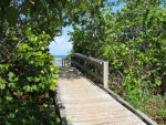 Boardwalk to Beach