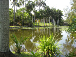 Bonnet House Slough