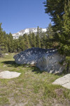 Boulders in the Shadow of a Tree