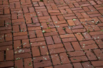 Brick Sidewalk Sparsely Covered by Fallen Leaves and Branches