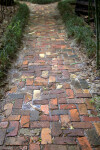 Brick Walkway at the Kanapaha Botanical Gardens