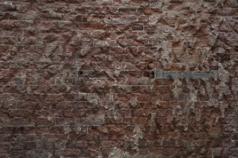 Brick Wall with Distinctive Texture at the Artis Royal Zoo