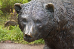 Bronze Bear at Zoo