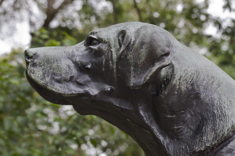 Bronze Dog Statue Close-Up