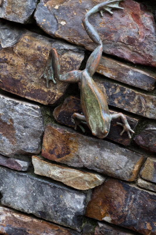 Bronze Frog on Stone Wall
