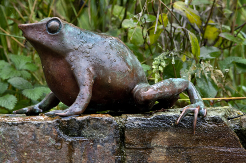 Bronze Frog on Top of Wall