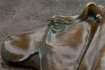 Bronze Hippopotamus Detail