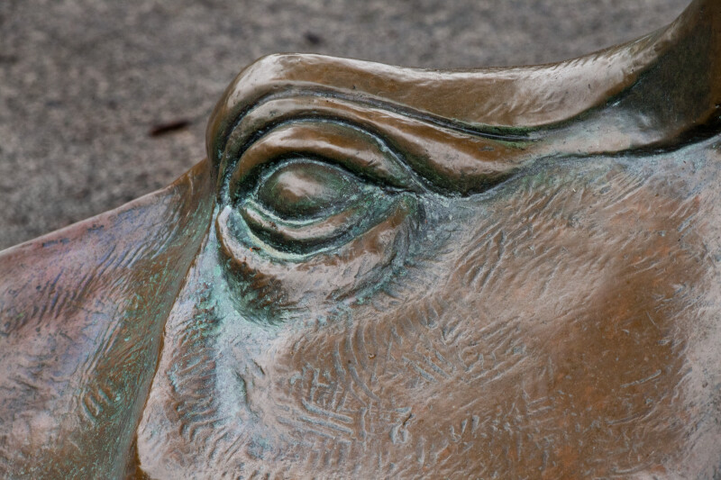 Bronze Hippopotamus Eye