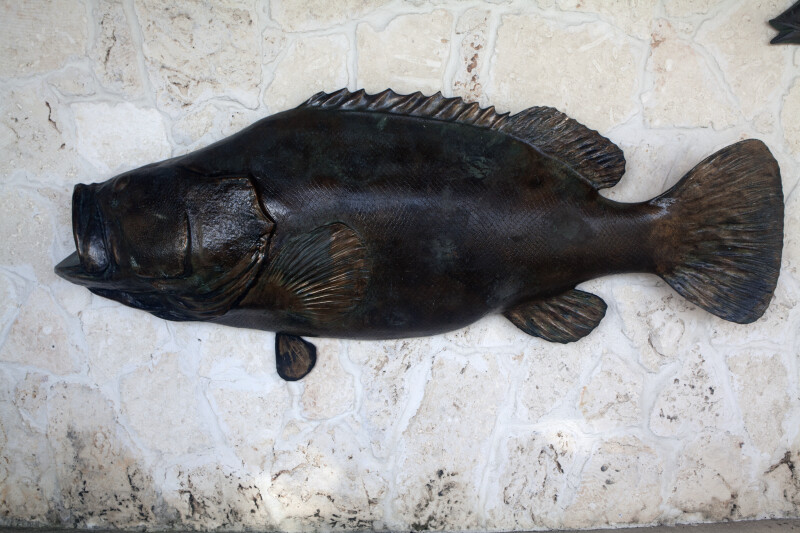 Bronze Largemouth Bass