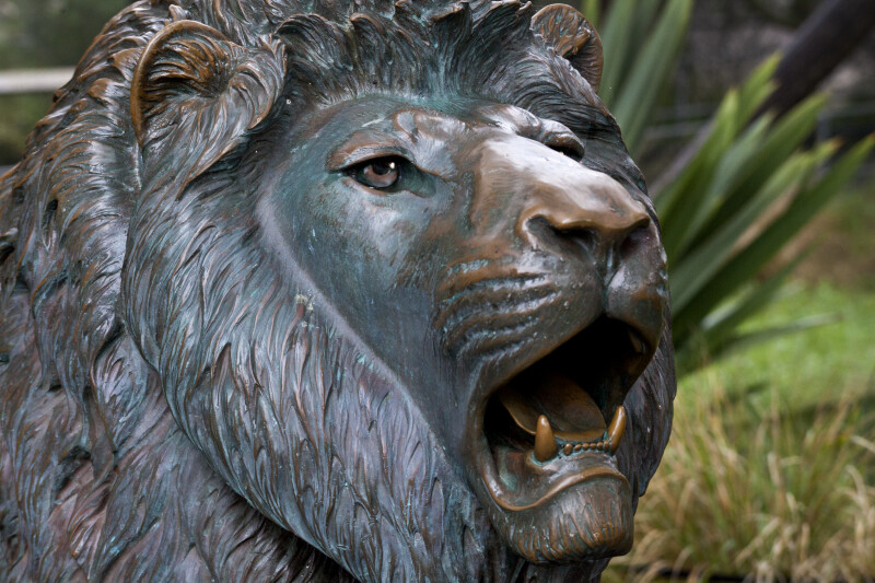 Bronze Lion Close-Up