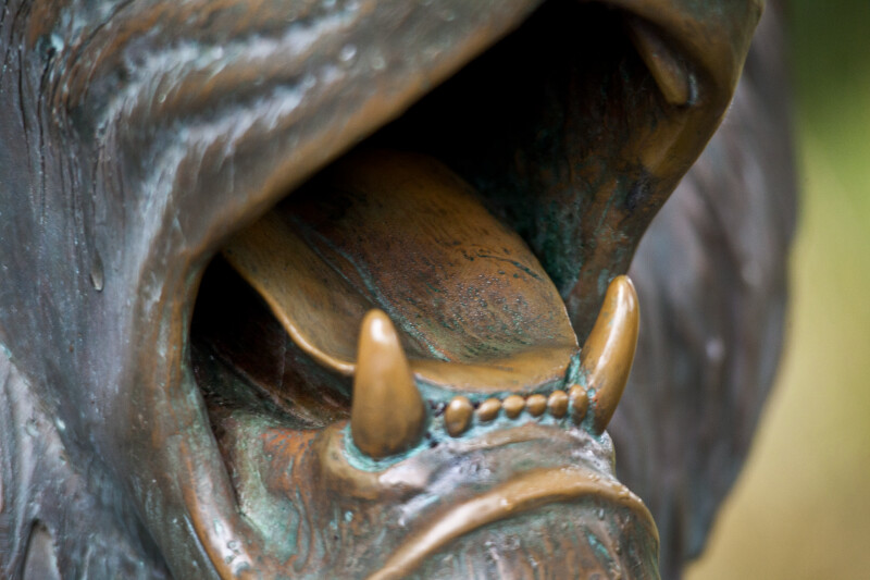 Bronze Lion Mouth