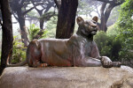 Bronze Lioness on Rock