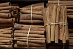 Bundles of Cinnamon Sticks at the Spice Bazaar in Istanbul, Turkey