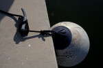 Buoy Tied to a Cleat