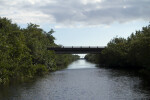 Buttonwood Bridge