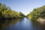 Buttonwood Canal