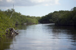 Buttonwood Canal