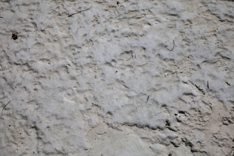 Caked Sand at Biscayne National Park