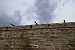 Cannons on the Curtain Wall of Castillo de San Marcos