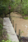 Canoe Launching Area