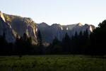 Cathedral Rocks over the Trees