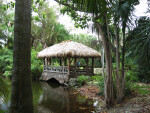 Chikee Bridge and Bonnet House Slough