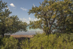 Clear Blue Water Seen Through Trees and Shrubs at Biscayne National Park