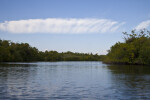 Clear Path on Halfway Creek in Everglades National Park