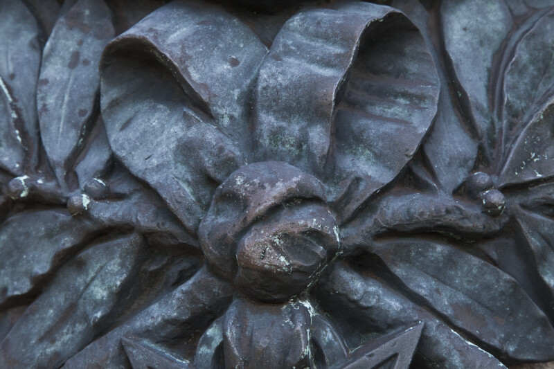 Close Up High Relief