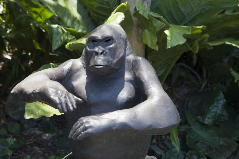 Close-Up of a Bronze Gorilla