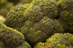Close-up of Broccoli